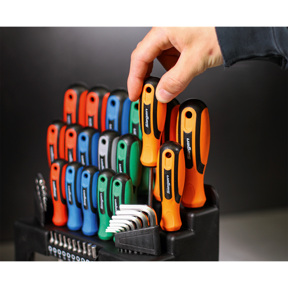 Screwdriver, Hex Key & Bit Set 44pc